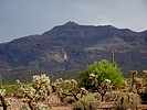 photo thumbnail #11
