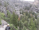 photo thumbnail #5