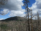 photo thumbnail #4