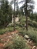 photo thumbnail #10