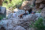 photo thumbnail #3