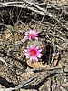 photo thumbnail #12
