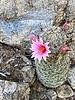 photo thumbnail #13