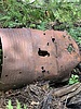 photo thumbnail #6