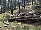 photo thumbnail #12