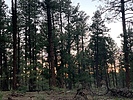 photo thumbnail #15