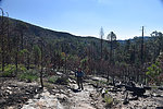 photo thumbnail #4