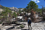 photo thumbnail #5
