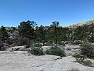 photo thumbnail #6