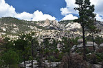 photo thumbnail #15