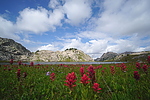 photo thumbnail #1
