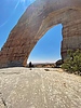 photo thumbnail #11