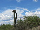photo thumbnail #9