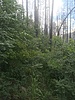 photo thumbnail #15