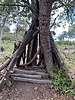 photo thumbnail #5