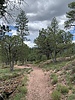 photo thumbnail #6