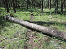 photo thumbnail #8