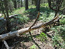 photo thumbnail #9