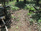 photo thumbnail #10