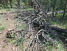 photo thumbnail #14