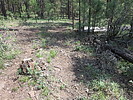 photo thumbnail #15