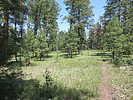 photo thumbnail #13