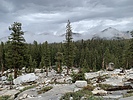 photo thumbnail #12
