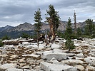 photo thumbnail #14