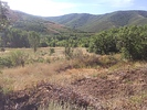 photo thumbnail #10