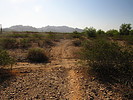 photo thumbnail #3