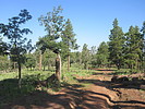 photo thumbnail #4