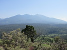photo thumbnail #14