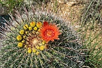 photo thumbnail #9