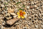 photo thumbnail #14