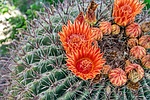 photo thumbnail #8