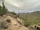 photo thumbnail #7