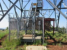 photo thumbnail #4