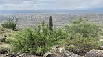 photo thumbnail #7