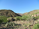 photo thumbnail #3