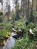 photo thumbnail #6