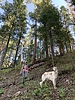 photo thumbnail #1