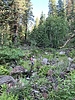 photo thumbnail #2
