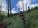 photo thumbnail #2