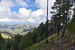 photo thumbnail #4