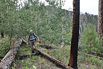 photo thumbnail #14