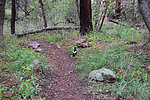 photo thumbnail #2