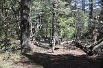 photo thumbnail #7