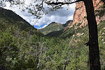 photo thumbnail #13