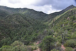 photo thumbnail #15