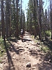 photo thumbnail #3